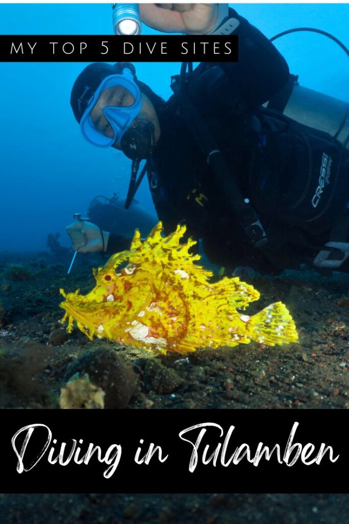 Diving in Tulamben - pin1