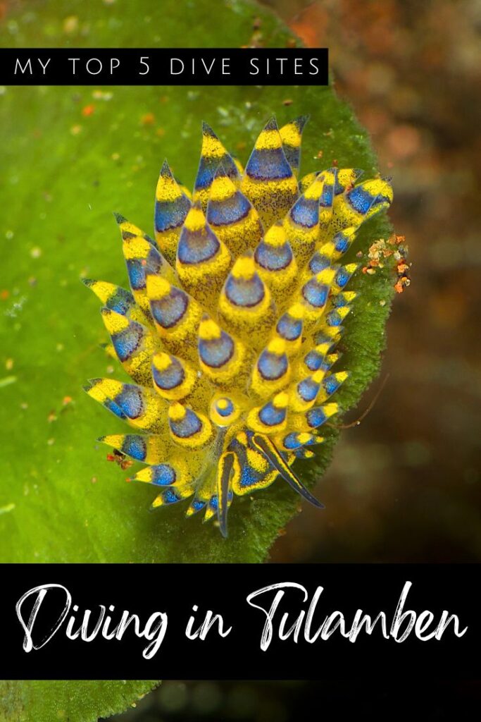 Diving in Tulamben - pin2