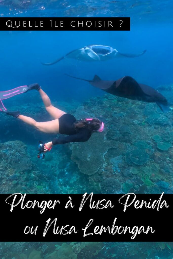 Plonger à Nusa Penida Pin1
