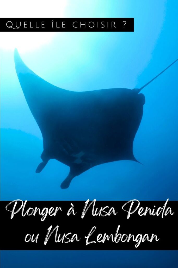 Plonger à Nusa Penida Pin2