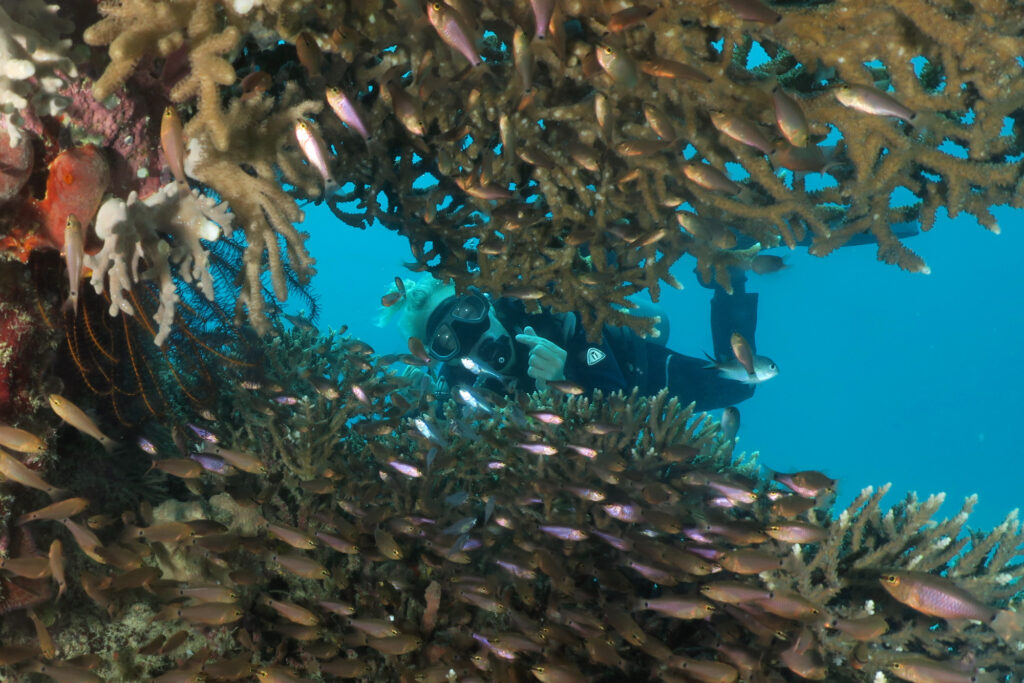 diving in Komodo - Siaba Besar