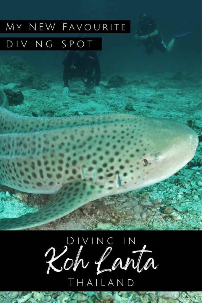 pin1 diving in koh lanta