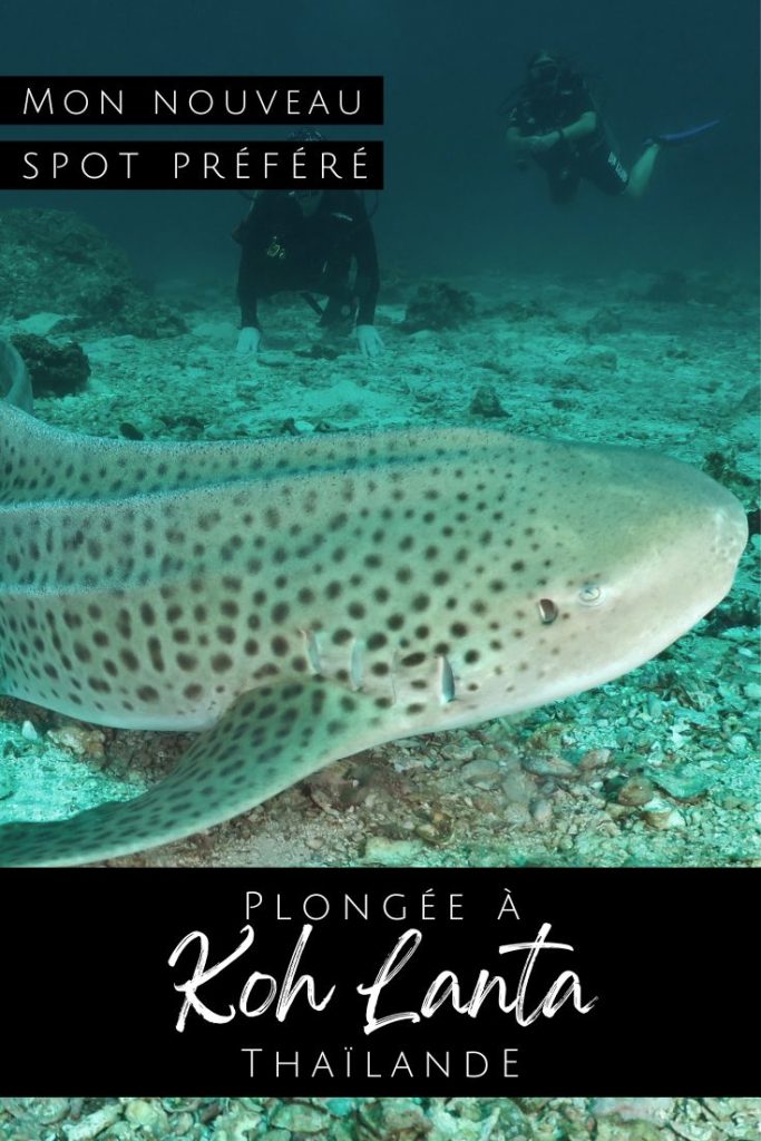 pin1 plongée koh Lanta