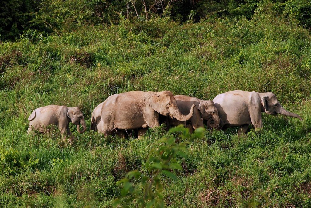 Kui Buri National Park