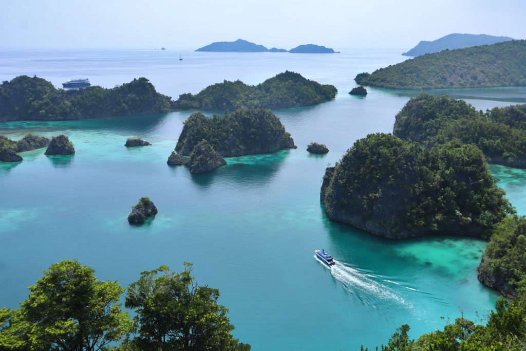 Point de vue de Piaynemo - Raja Ampat