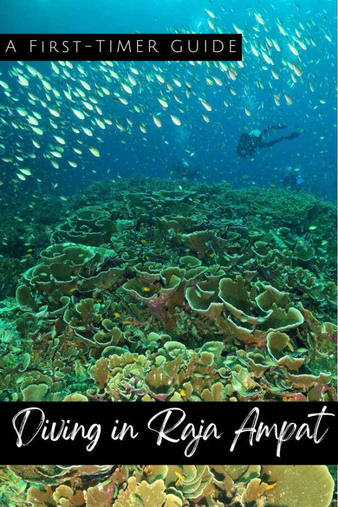 Diving in Raja Ampat - pin1