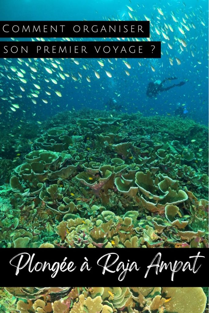 Plongée Raja Ampat - pin1