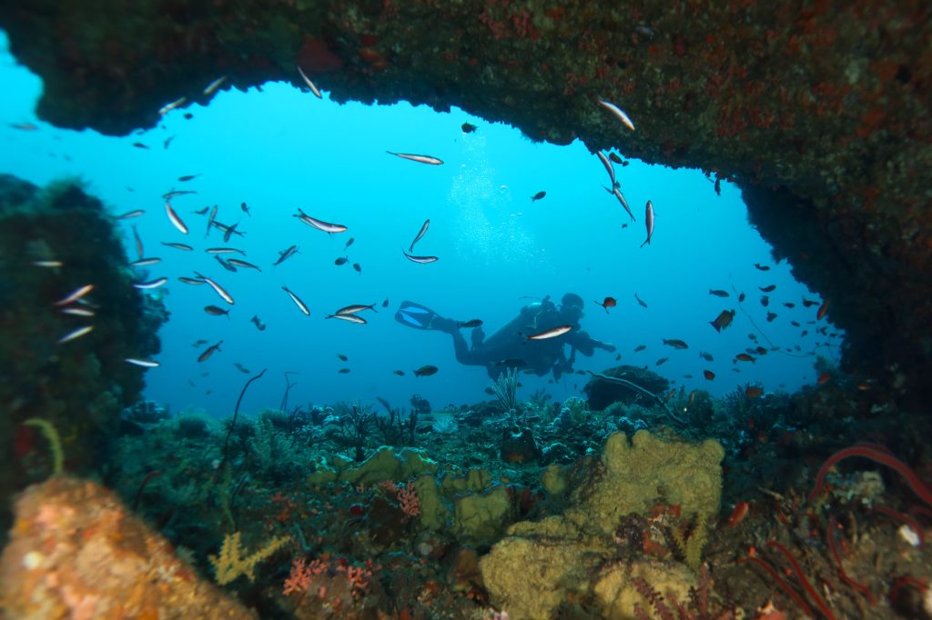 Grotte Game changer Plongée Tanjung Ringgit Détroit d'Alas Lombok Indonésie